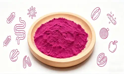 Organic Red Dragon Fruit Powder: Your Complete Guide To This Vibrant Superfood